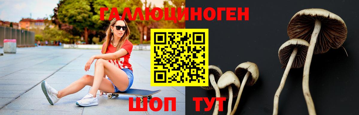 Галлюциногенные грибы мицелий Учалы
