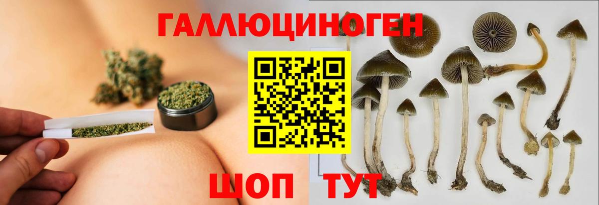 Псилоцибиновые грибы Psilocybe  Галлюциногенные грибы Magic Shrooms  Учалы  Вход с VPN 